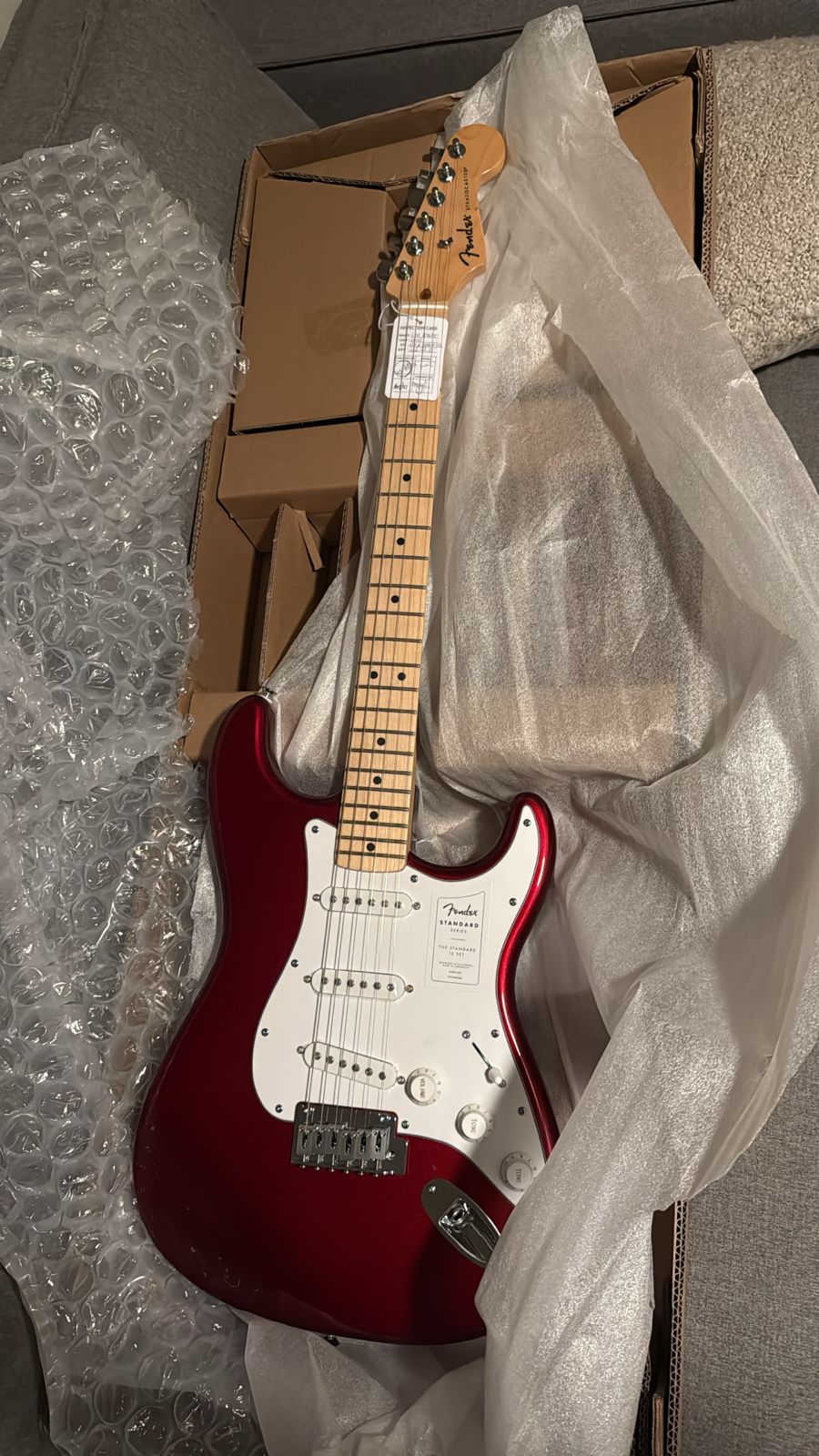 Guitarra Fender Stratocaster Standard